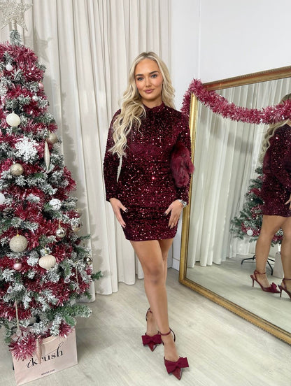 Sequin Long Sleeve Bodycon Mini Dress